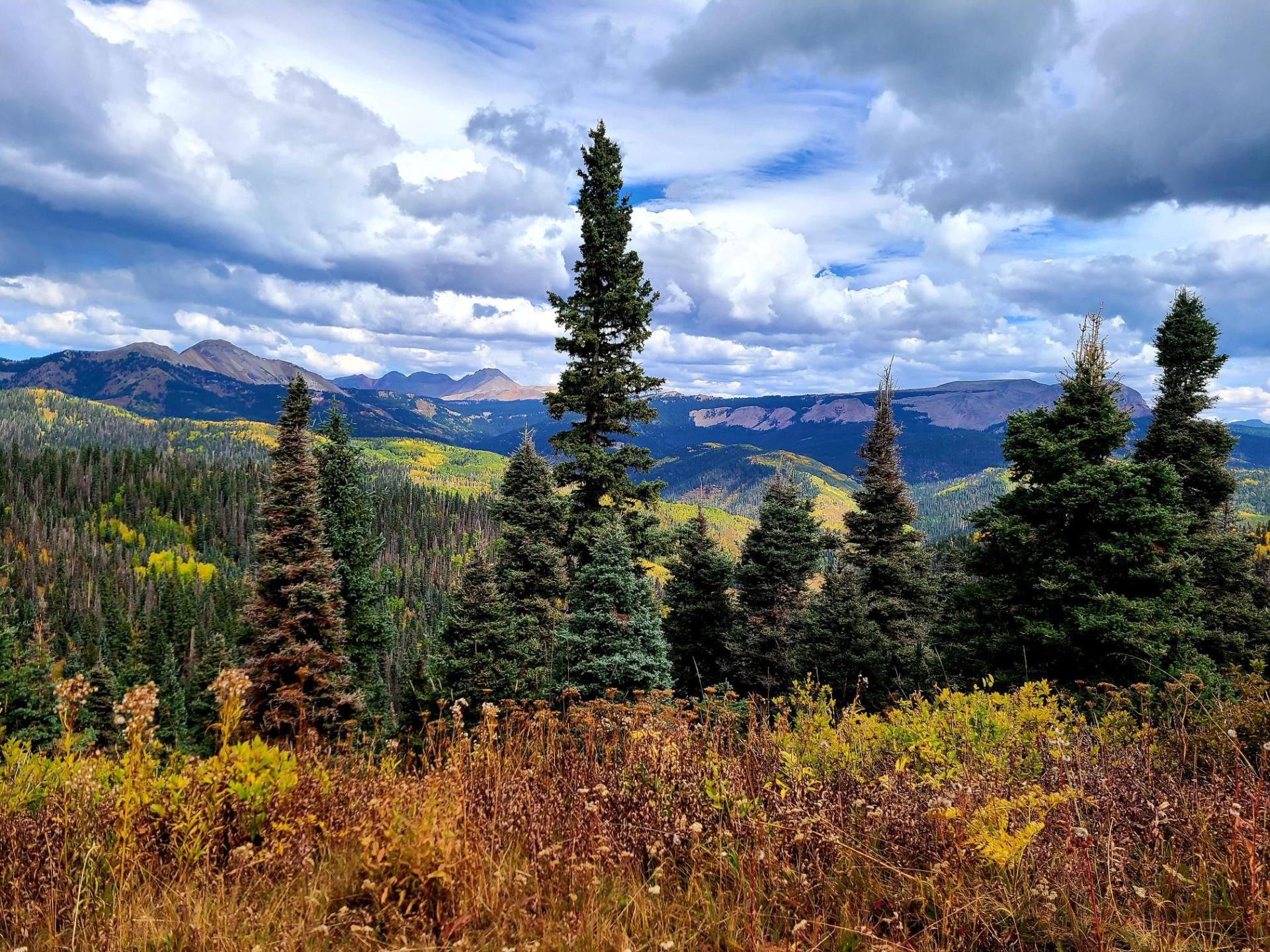 View from Colorado Trail Mountains in Colorado